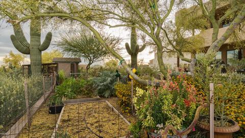 8023 E Quenton St, Mesa, AZ 85207 photo 58