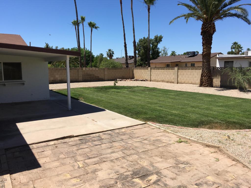 1326 E Harmony Cir, Mesa, AZ 85204 photo 54