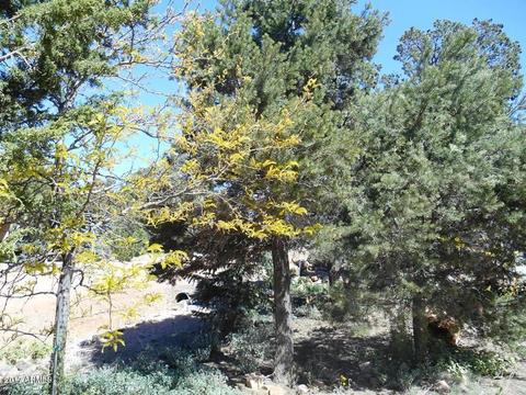 3575 Wildflower Dr, Heber, AZ 85928 photo 3
