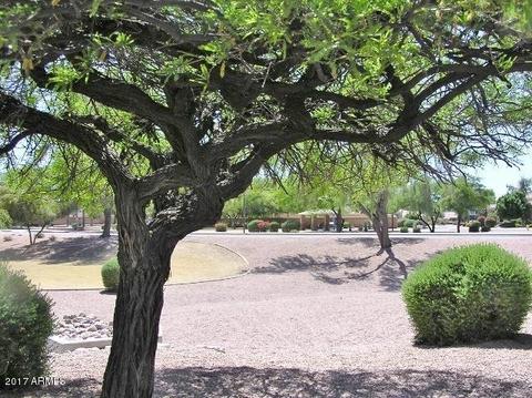 595 E Stottler Dr, Gilbert, AZ 85296 photo 4