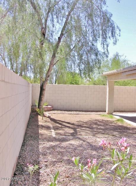595 E Stottler Dr, Gilbert, AZ 85296 photo 7