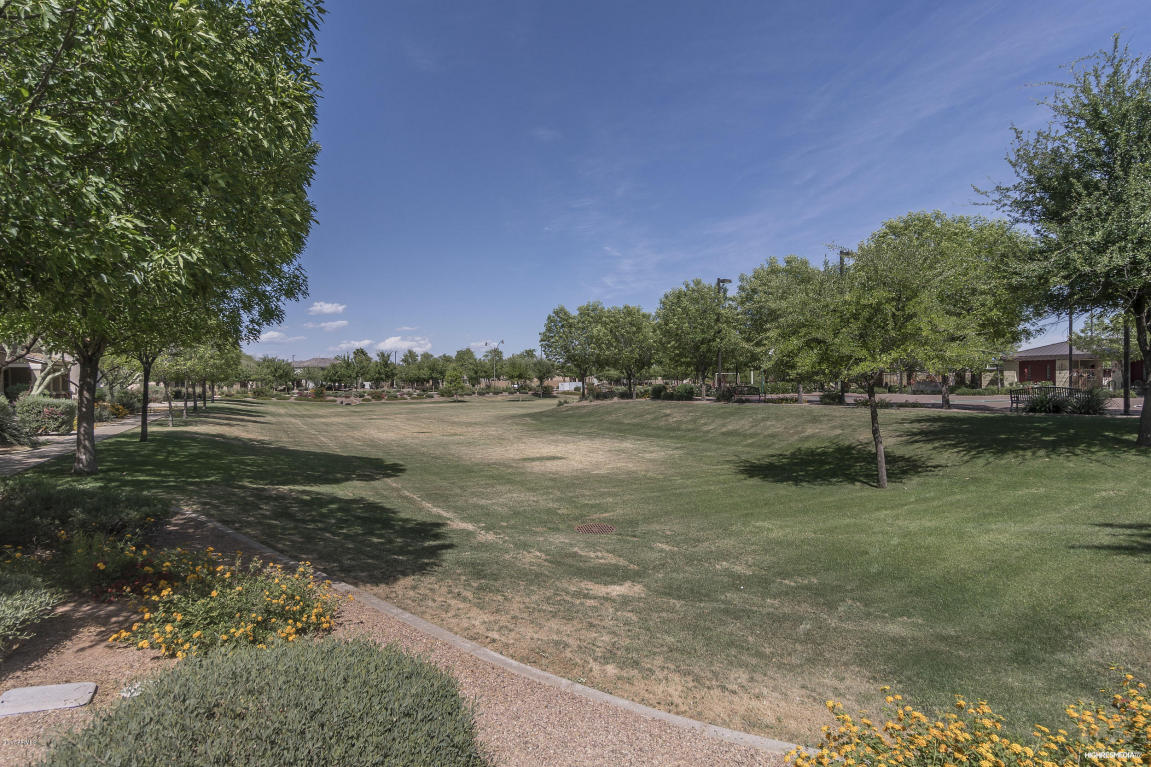 2768 E Del Rio St, Gilbert, AZ 85295 photo 24