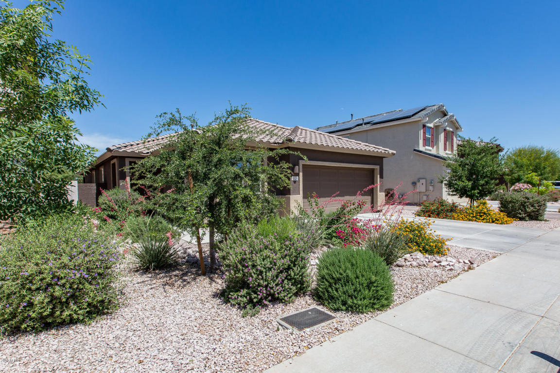 11124 E Sebring Ave, Mesa, AZ 85212 photo 3