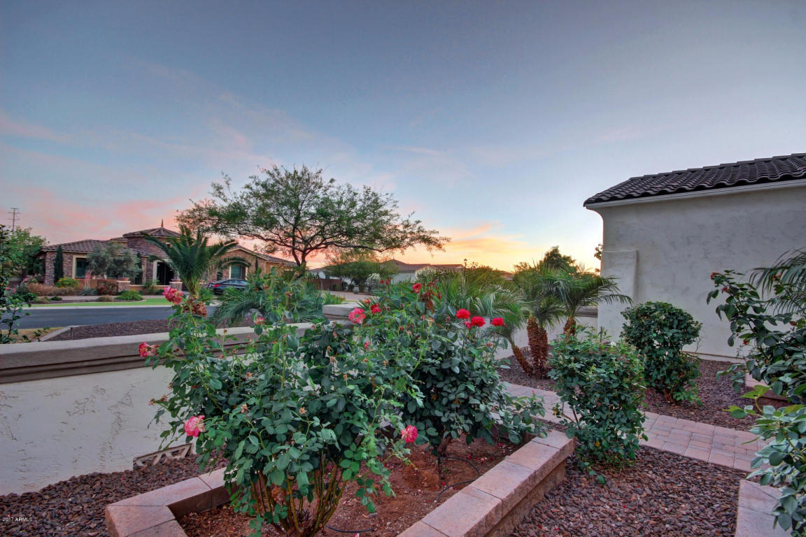 3050 E Fruitvale Ave, Gilbert, AZ 85297 photo 59
