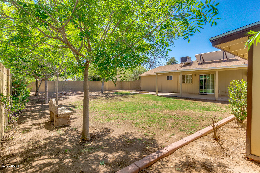 844 E Hope St, Mesa, AZ 85203 photo 5