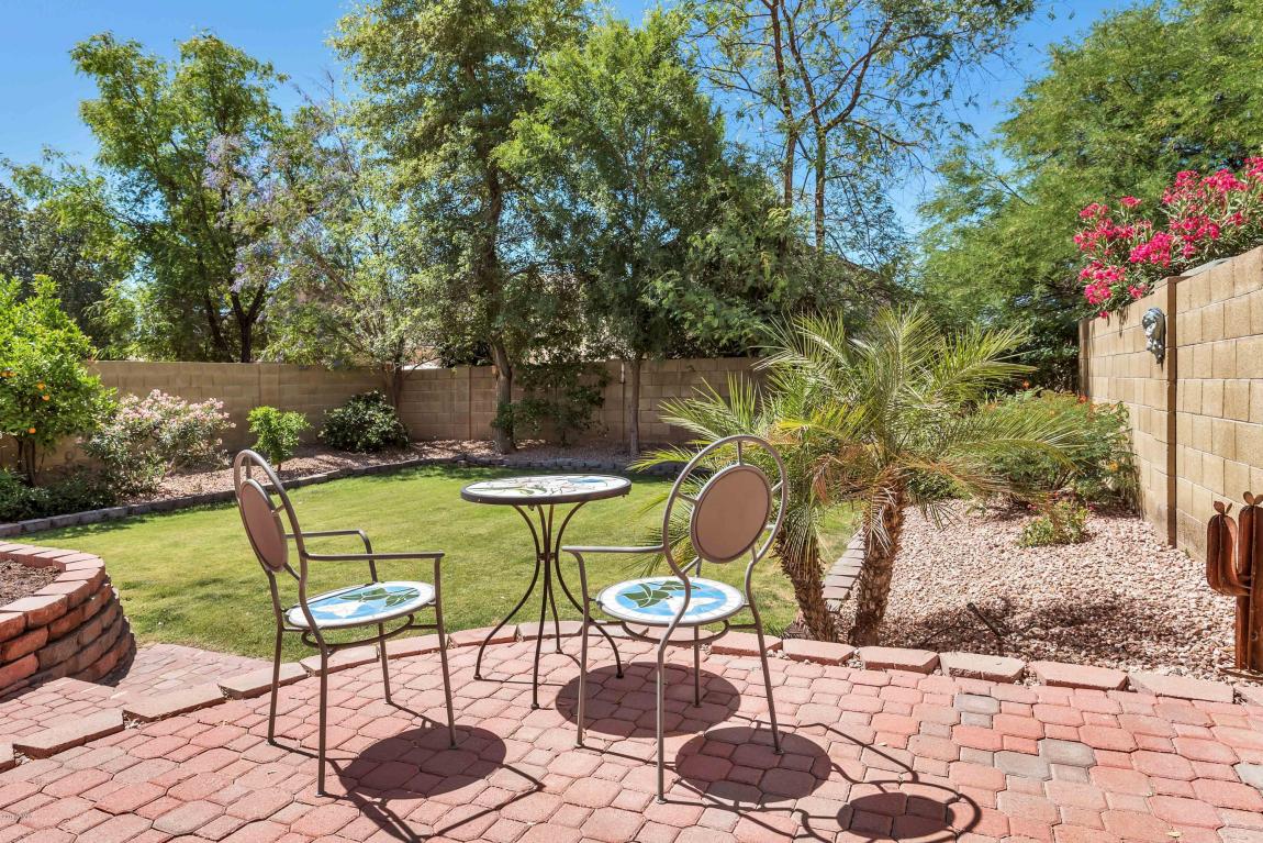3109 E Wagoner Rd, Phoenix, AZ 85032 photo 20