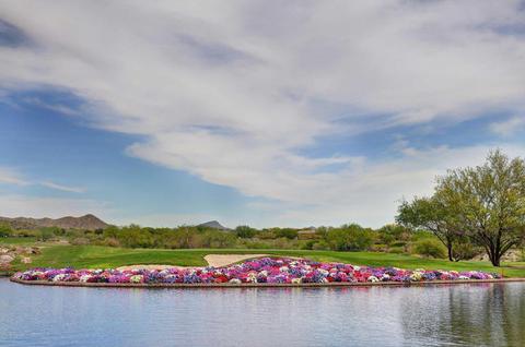 1410 W Silver Pine Dr, Phoenix, AZ 85086 photo 44
