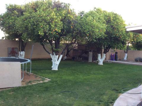 2113 E Knoll Cir, Mesa, AZ 85213 photo 19