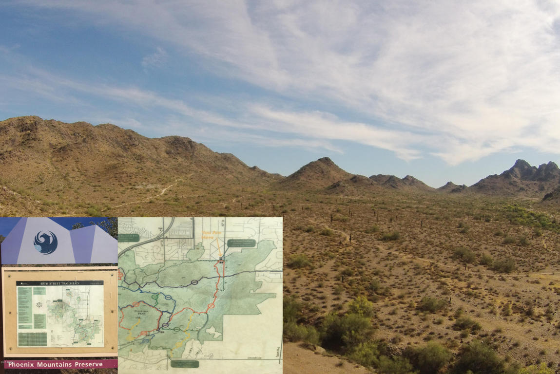 4201 E Vogel Ave, Phoenix, AZ 85028 photo 29