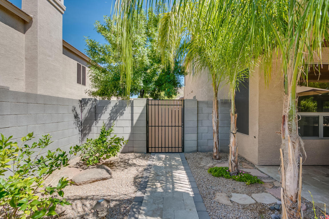 9635 E Gary St, Mesa, AZ 85207 photo 59
