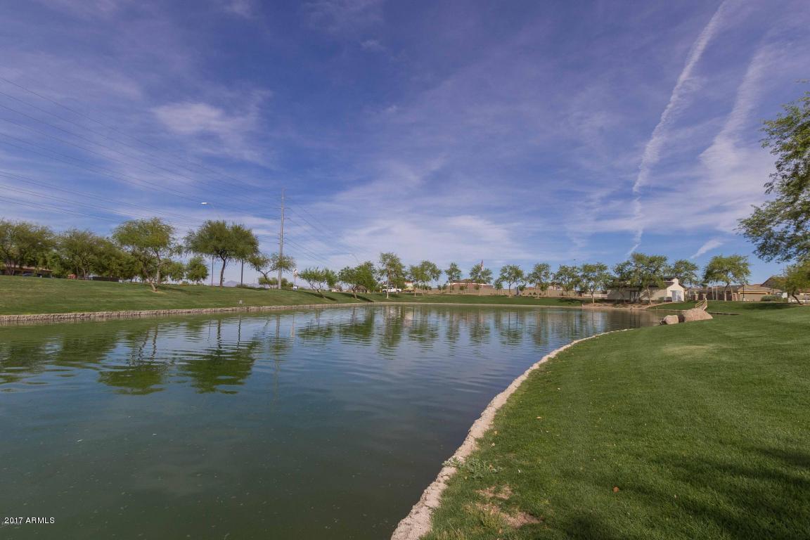 879 Euclid Ave, Gilbert, AZ 85297 photo 10