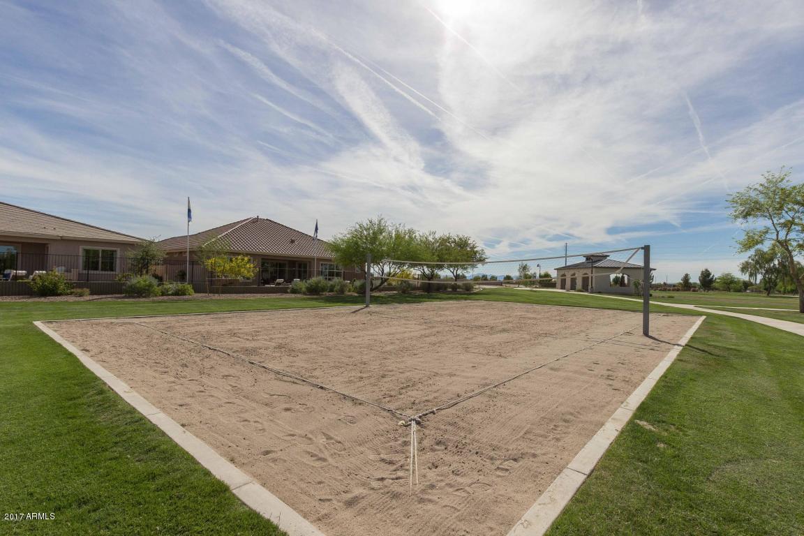 879 Euclid Ave, Gilbert, AZ 85297 photo 9