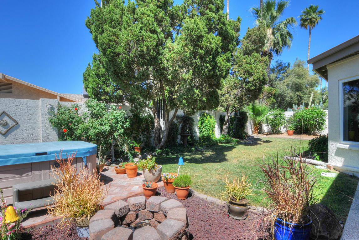 3702 E Garden Dr, Phoenix, AZ 85028 photo 41