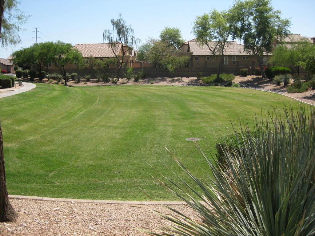 3827 E Pollack St, Phoenix, AZ 85042 photo 18