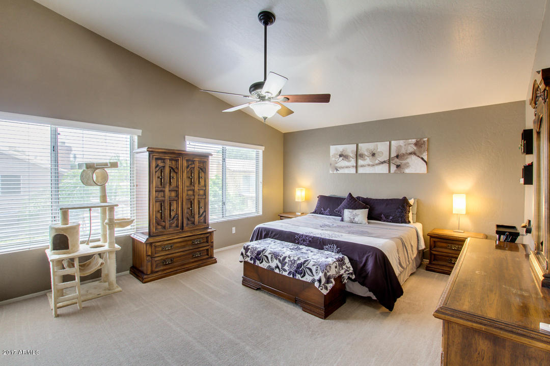 3529 E Camino Cir, Mesa, AZ 85213 photo 20
