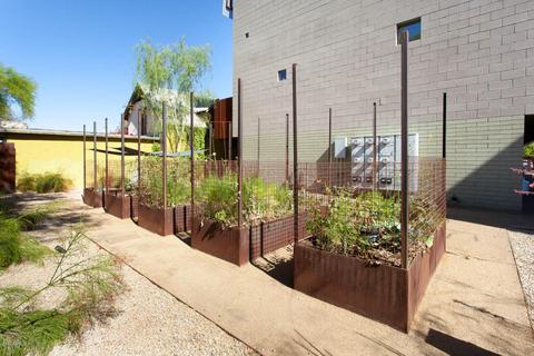 1145 E Whitton Ave #1010, Phoenix, AZ 85014 photo 20