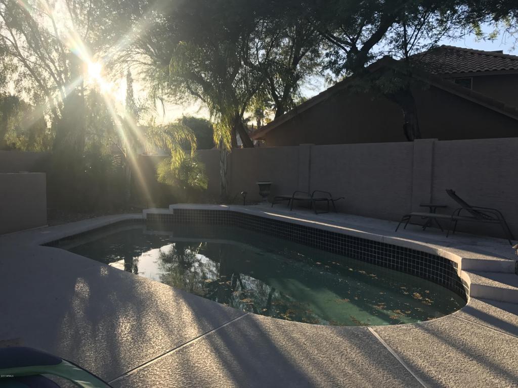 3538 E Tonto Ln, Phoenix, AZ 85050 photo 10