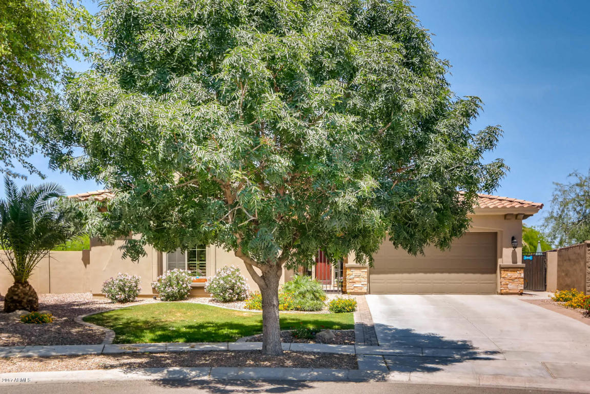 4280 E Los Altos Rd, Gilbert, AZ 85297 photo 37
