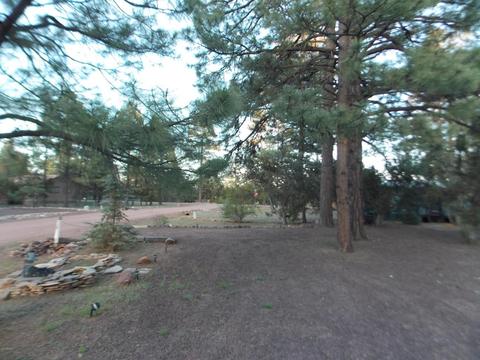 1983 Rustling Pine Dr, Overgaard, AZ 85933 photo 16