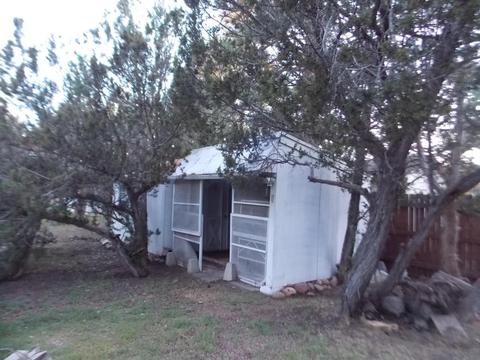 1983 Rustling Pine Dr, Overgaard, AZ 85933 photo 14
