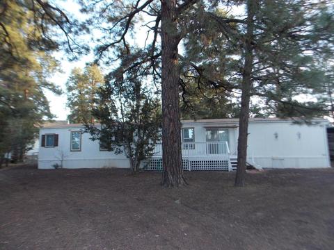 1983 Rustling Pine Dr, Overgaard, AZ 85933 photo 1