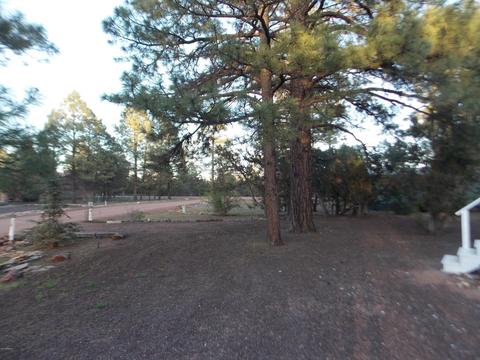 1983 Rustling Pine Dr, Overgaard, AZ 85933 photo 17