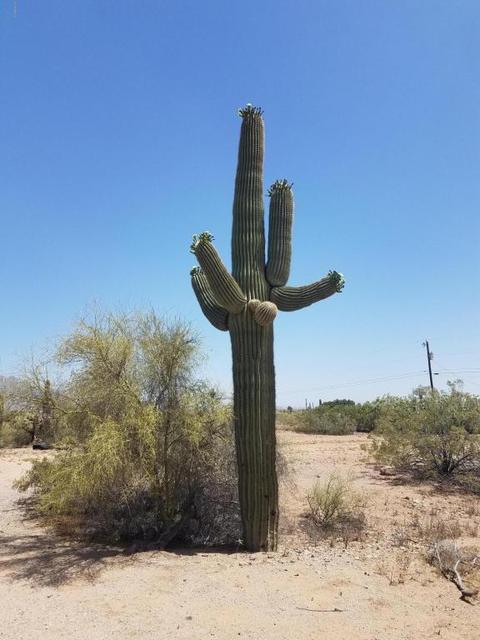 4481 N Desert View Dr, Apache Junction, AZ 85120 photo 30
