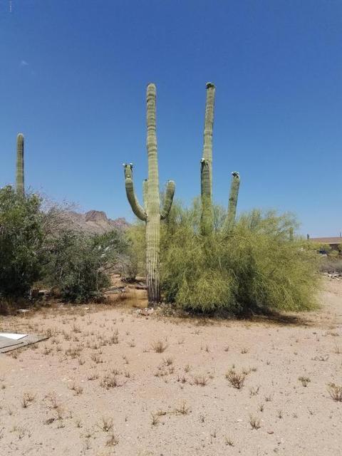 4481 N Desert View Dr, Apache Junction, AZ 85120 photo 21