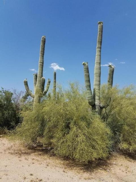 4481 N Desert View Dr, Apache Junction, AZ 85120 photo 24