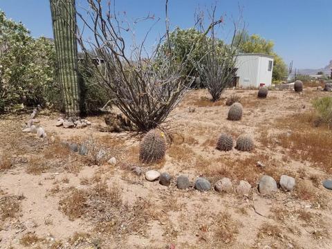 4481 N Desert View Dr, Apache Junction, AZ 85120 photo 18