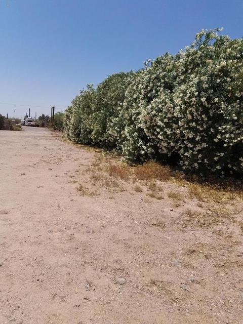 4481 N Desert View Dr, Apache Junction, AZ 85120 photo 19