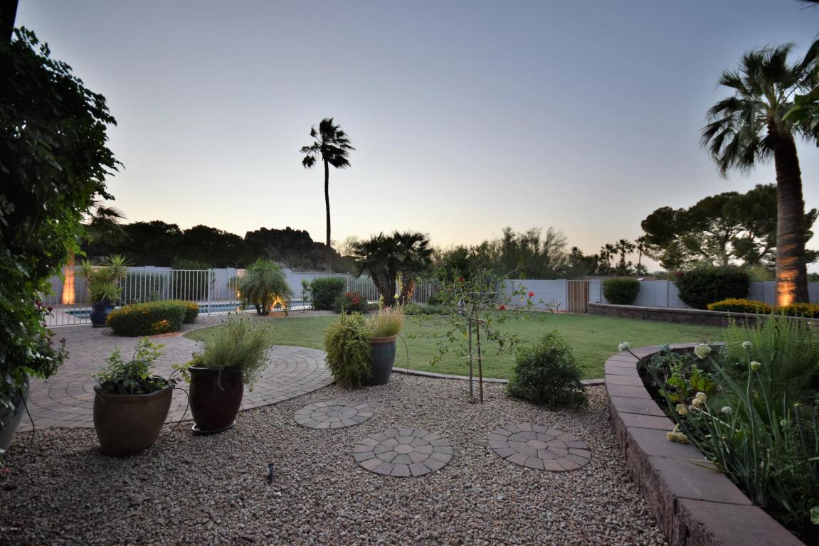 3110 E Puget Ave, Phoenix, AZ 85028 photo 40