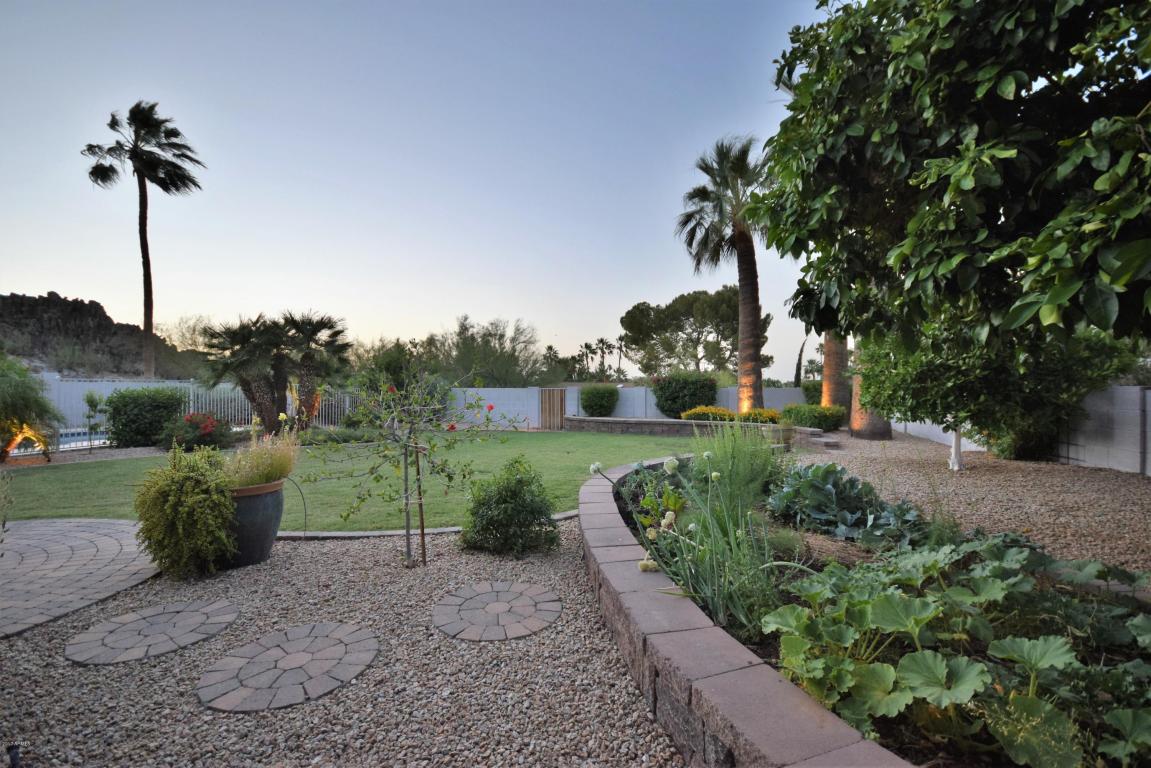 3110 E Puget Ave, Phoenix, AZ 85028 photo 39