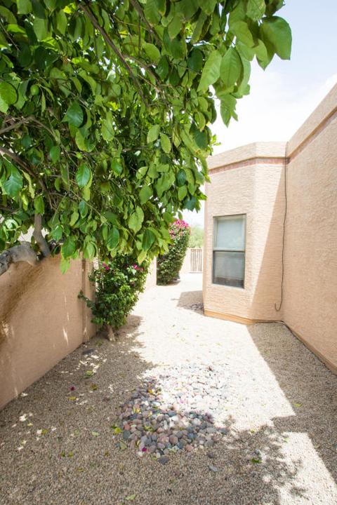 2311 E Mountain View Rd, Phoenix, AZ 85028 photo 13