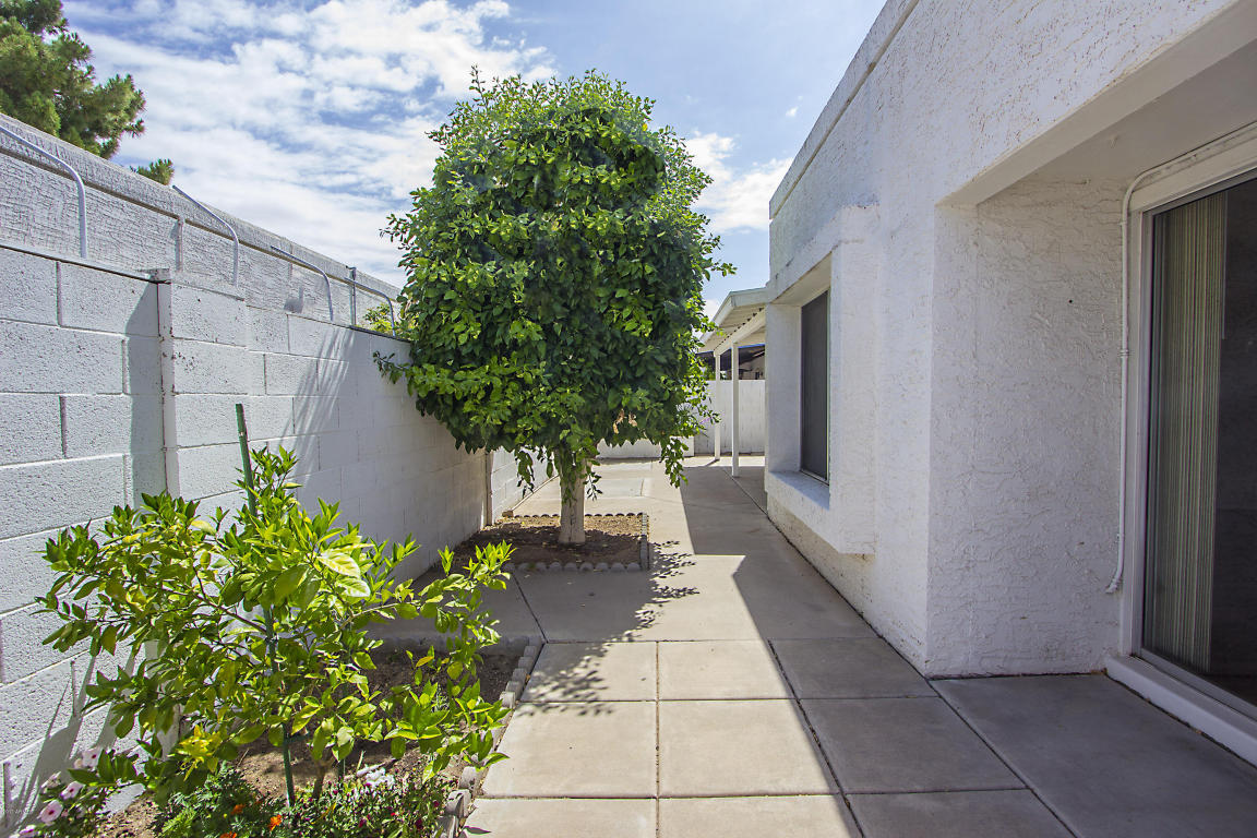 730 E Michelle Dr, Phoenix, AZ 85022 photo 30