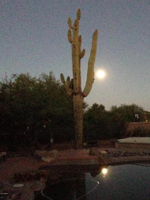 809 E Blue Eagle Ln, Phoenix, AZ 85086 photo 53
