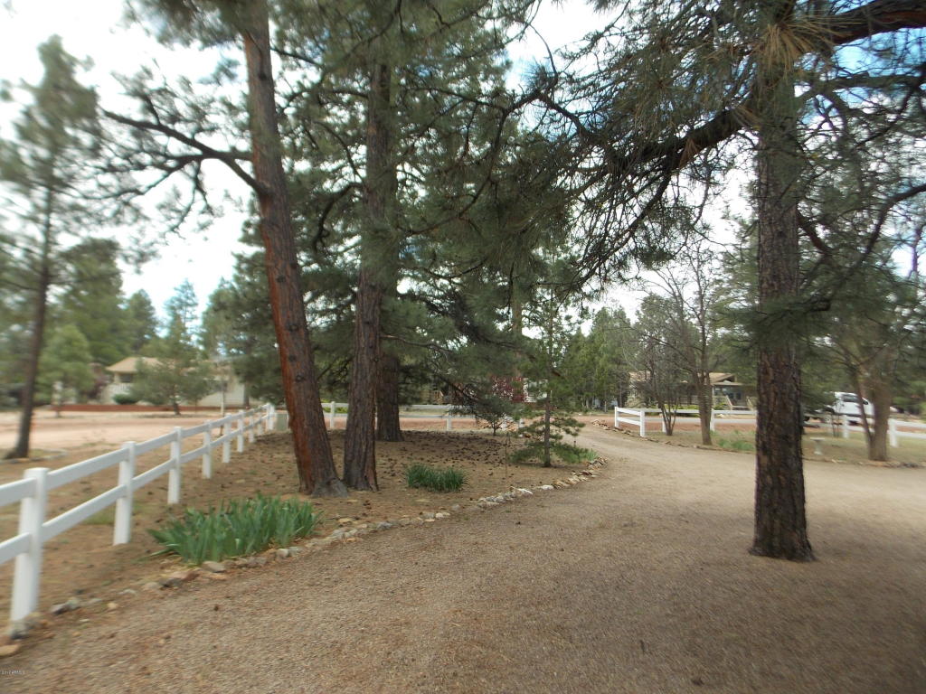 1978 Rustling Pine Dr, Overgaard, AZ 85933 photo 19