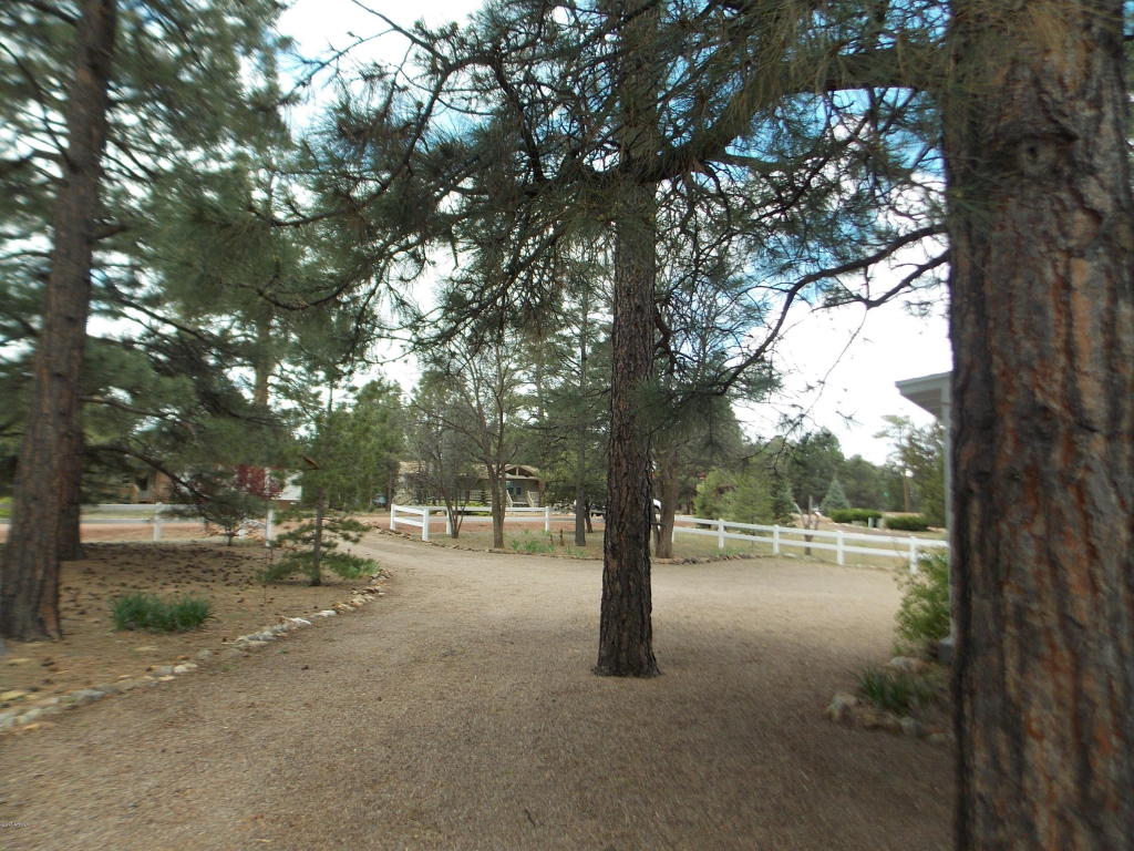 1978 Rustling Pine Dr, Overgaard, AZ 85933 photo 20