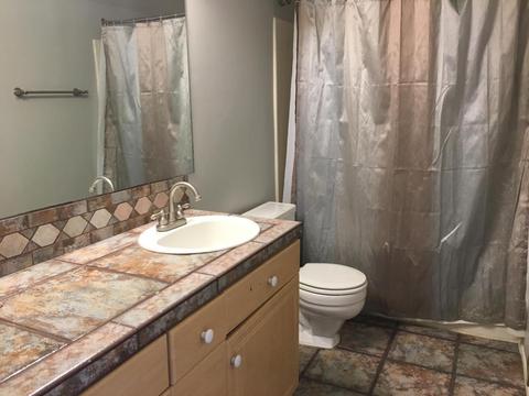 7126 N 19th Ave #194, Phoenix, AZ 85021 photo 4