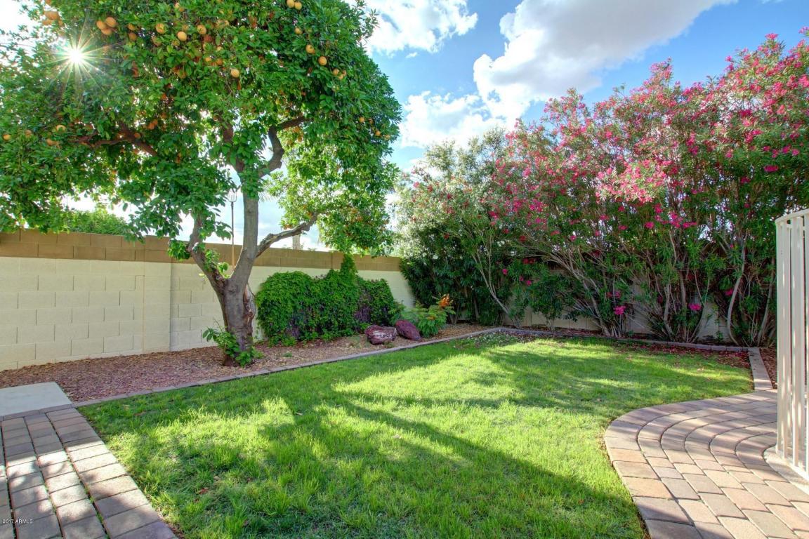 3030 W Crocus Dr, Phoenix, AZ 85053 photo 26