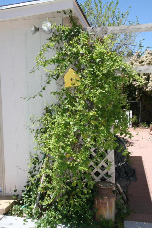 811 W Saddle Ln, Payson, AZ 85541 photo 18