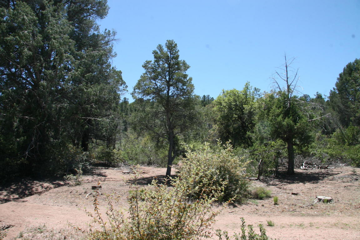 811 W Saddle Ln, Payson, AZ 85541 photo 15
