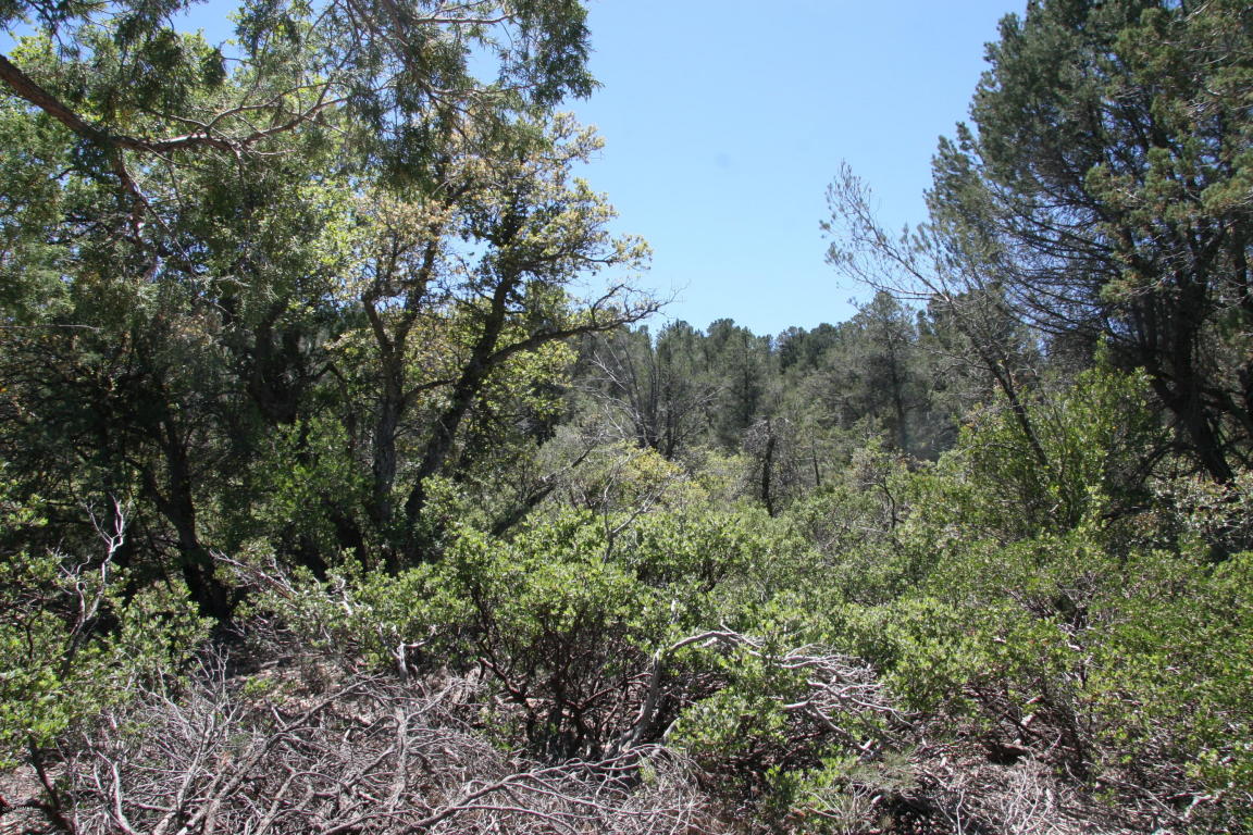 811 W Saddle Ln, Payson, AZ 85541 photo 13