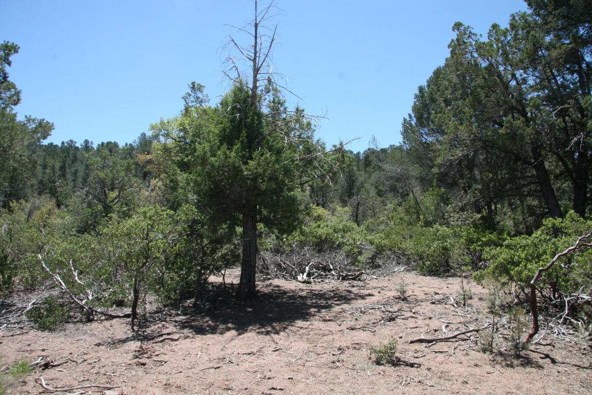 811 W Saddle Ln, Payson, AZ 85541 photo 14