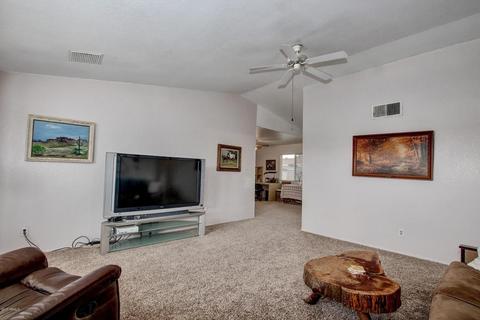 3162 E Diamond Ave, Mesa, AZ 85204 photo 3