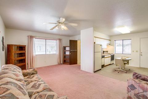 10111 E Fenimore Rd, Mesa, AZ 85207 photo 26