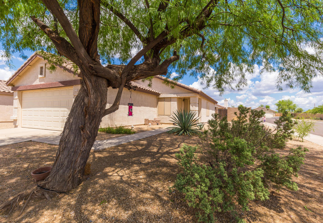 1094 E Greenlee Ave, Apache Junction, AZ 85119 photo 3