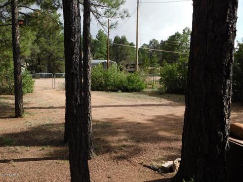 2066 E Chipmunk Xing, Overgaard, AZ 85933 photo 13