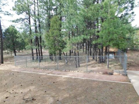 2854 Cedar Rdg, Overgaard, AZ 85933 photo 27
