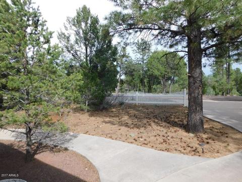 2854 Cedar Rdg, Overgaard, AZ 85933 photo 31